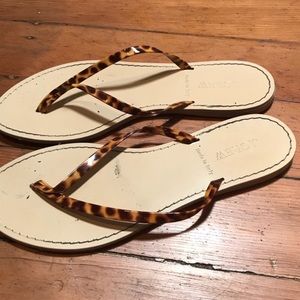 J Crew Sz 8 Tortoise Flip Flops